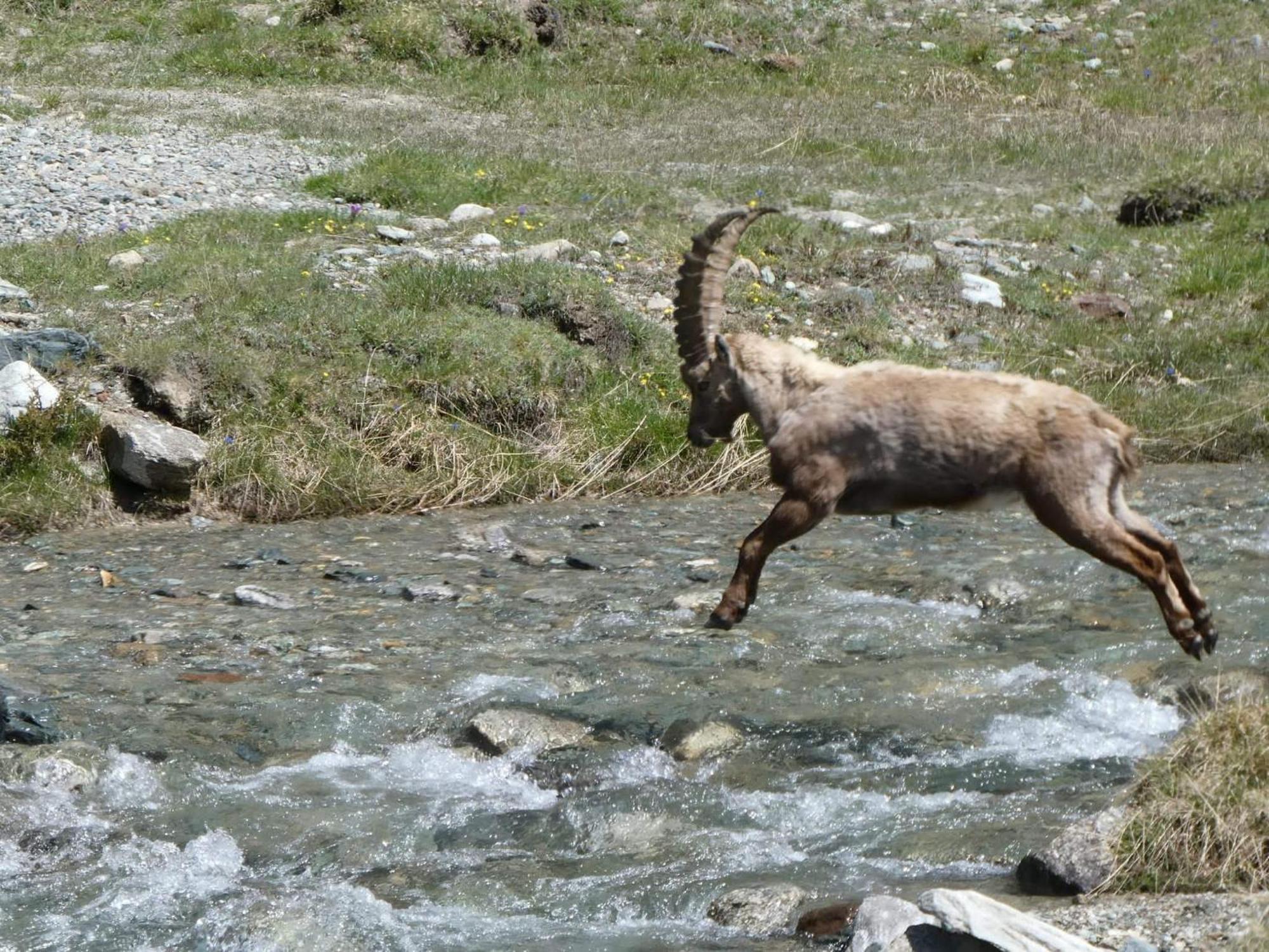 Aosta Maisongnemaz Dış mekan fotoğraf